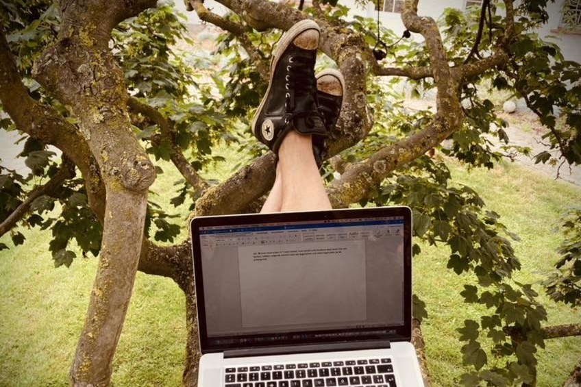 Robin writing on his laptop high up in the maple tree at Boereau, Converse sneakers up
